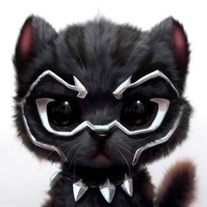 Meet your Posher, King